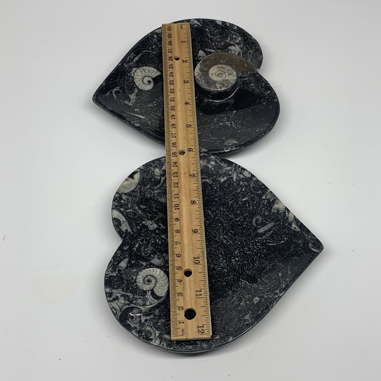 2pcs Set, 6.25"x6.25" Heart Fossils Orthoceras Ammonite Bowls @Morocco, B8476