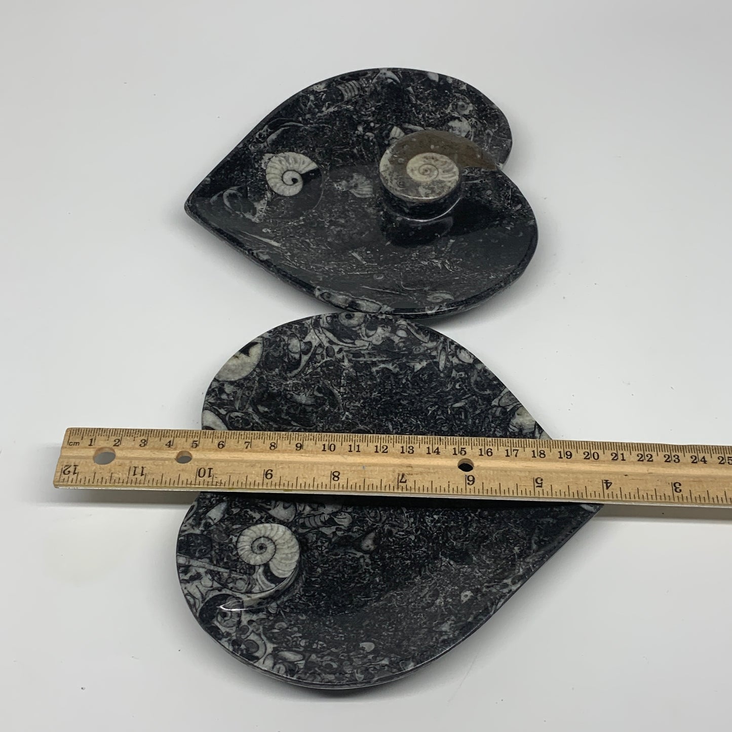 2pcs Set, 6.25"x6.25" Heart Fossils Orthoceras Ammonite Bowls @Morocco, B8476