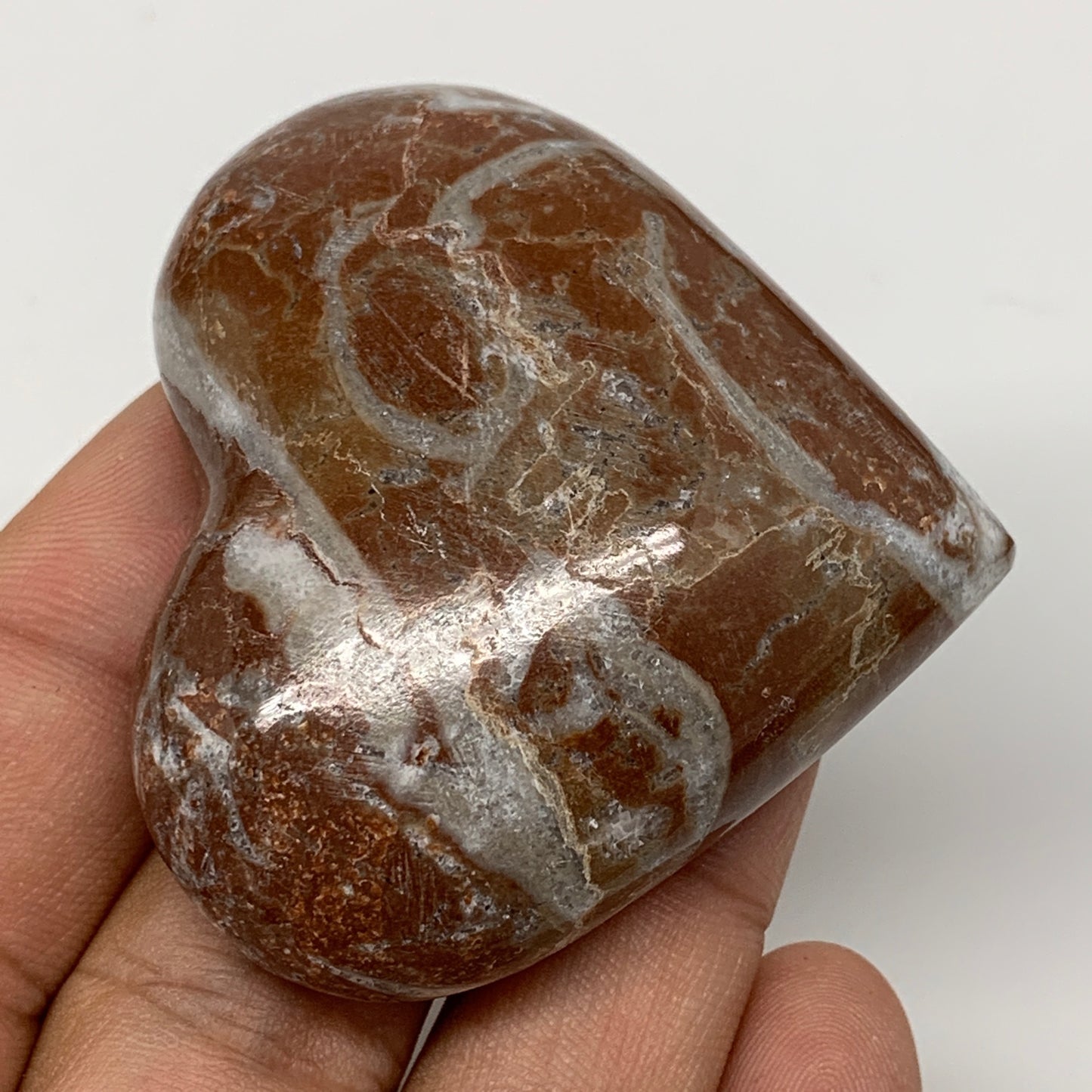 58.6g, 1.9" x 2.1"x 0.7", Natural Untreated Red Shell Fossils Half Heart @Morocc