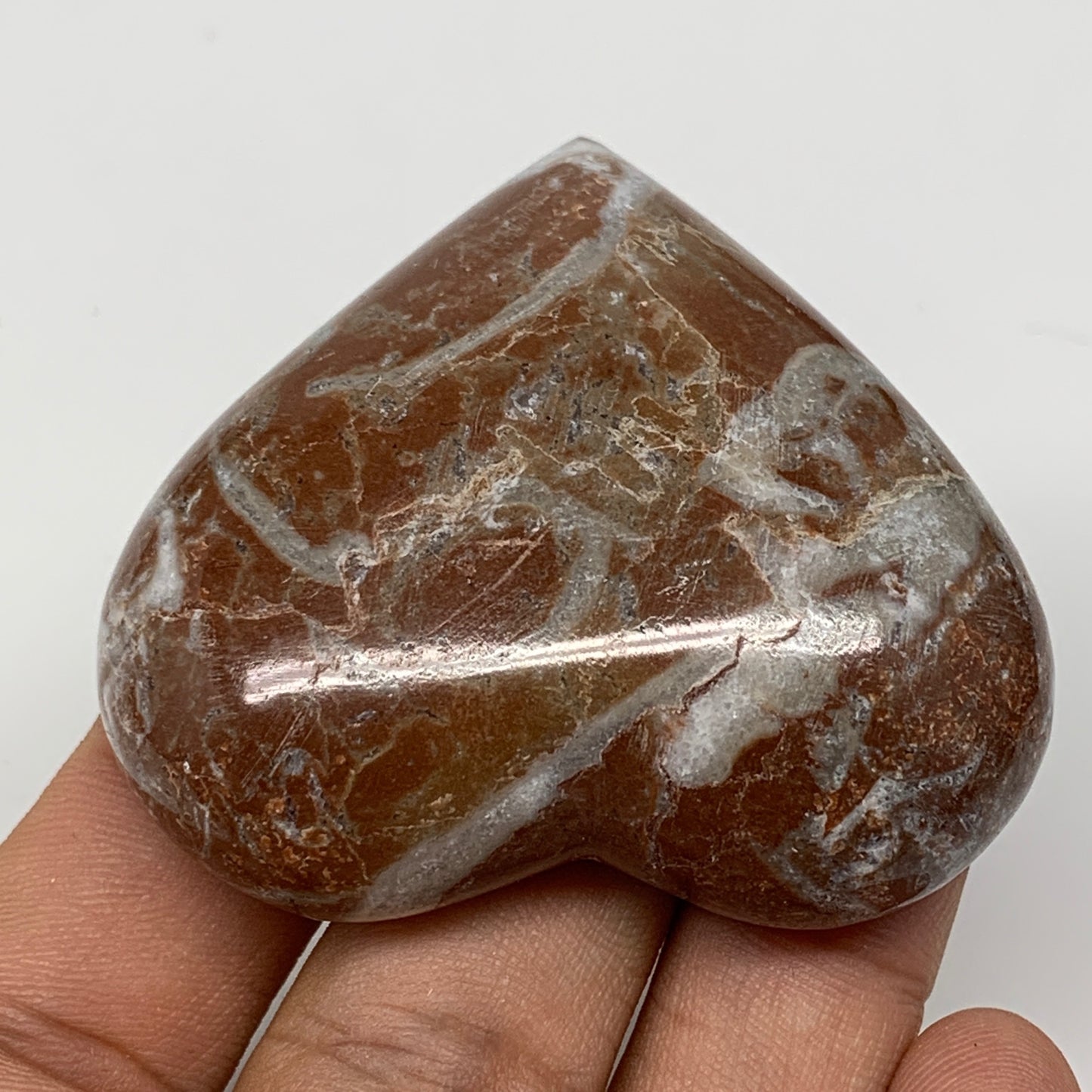 58.6g, 1.9" x 2.1"x 0.7", Natural Untreated Red Shell Fossils Half Heart @Morocc