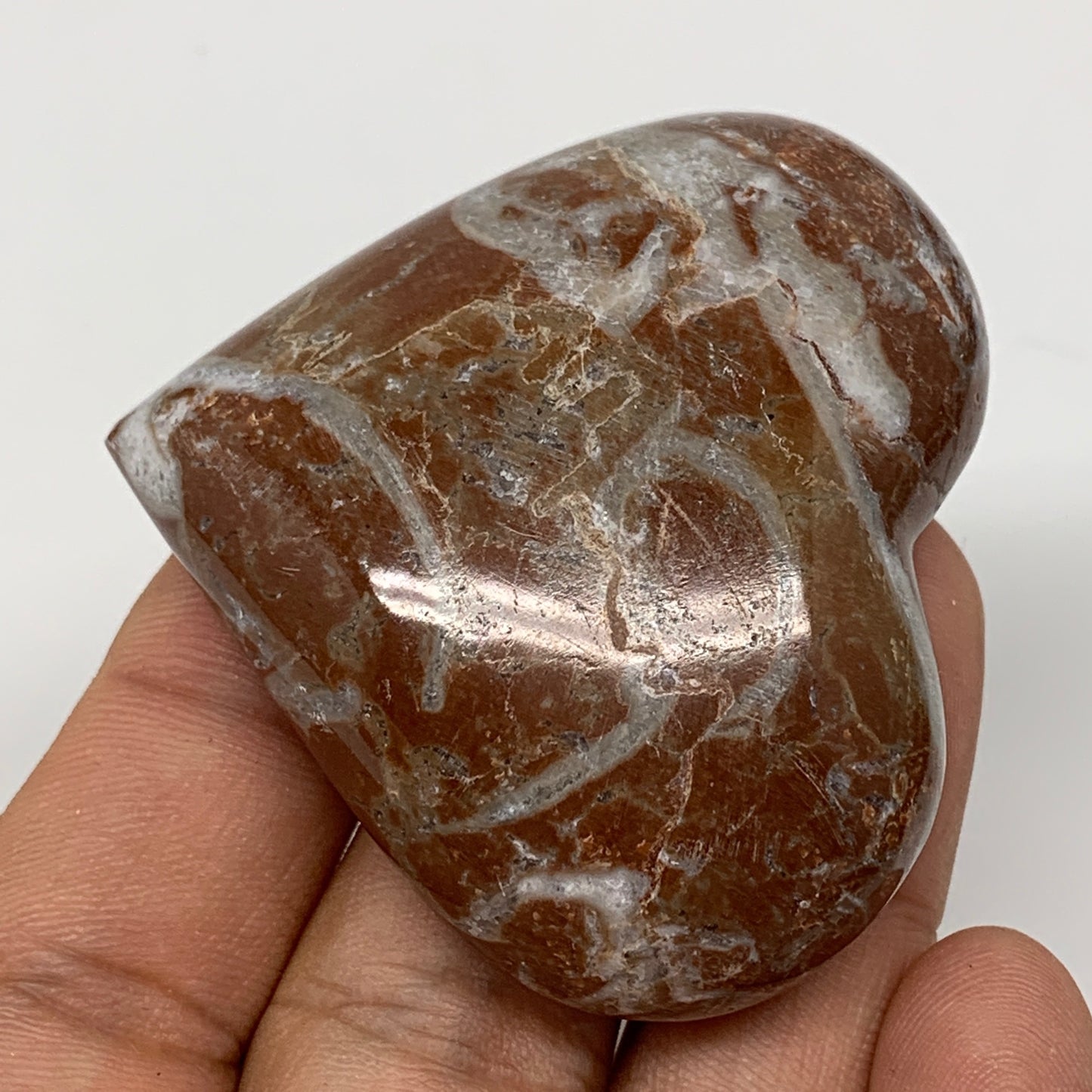 58.6g, 1.9" x 2.1"x 0.7", Natural Untreated Red Shell Fossils Half Heart @Morocc