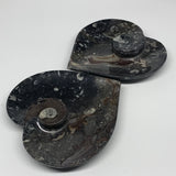2pcs Set, 6.25"x6.25" Heart Fossils Orthoceras Ammonite Bowls @Morocco, B8477