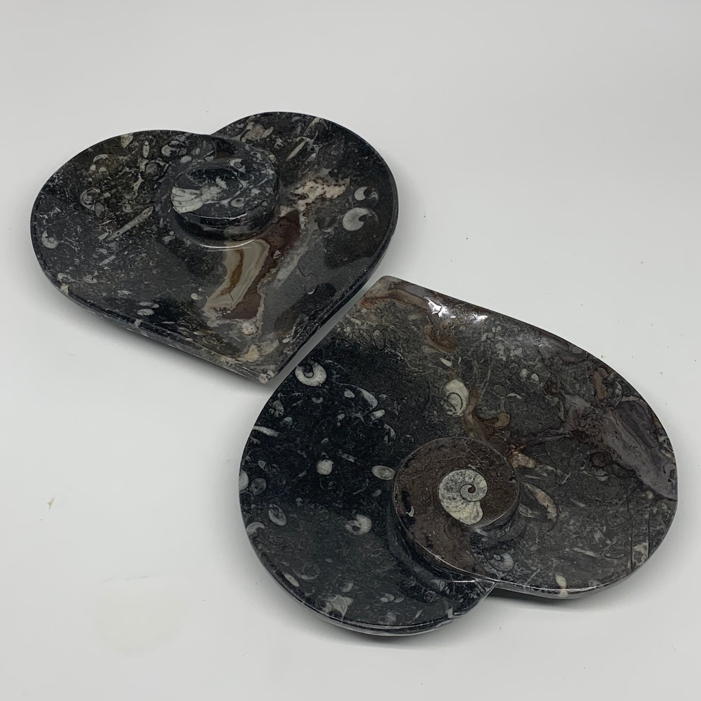 2pcs Set, 6.25"x6.25" Heart Fossils Orthoceras Ammonite Bowls @Morocco, B8477
