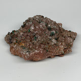 1142g, 7.9"x5.1"x2.4", Brochantite on Dolomite Matrix Mineral Specimen, B11006