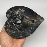 2pcs Set, 6.25"x6.25" Heart Fossils Orthoceras Ammonite Bowls @Morocco, B8477