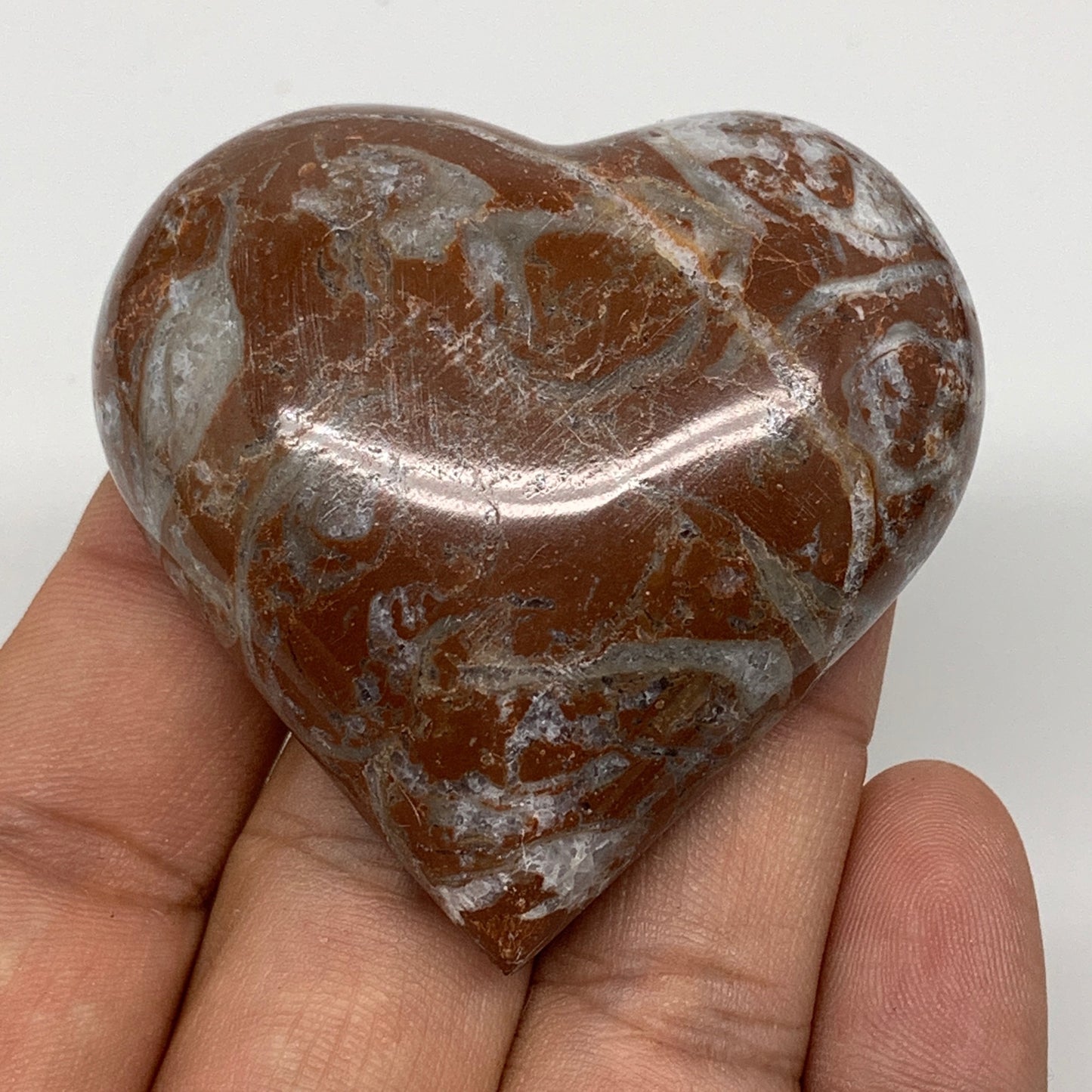 60.9g, 2" x 2.1"x 0.7", Natural Untreated Red Shell Fossils Half Heart @Morocco,