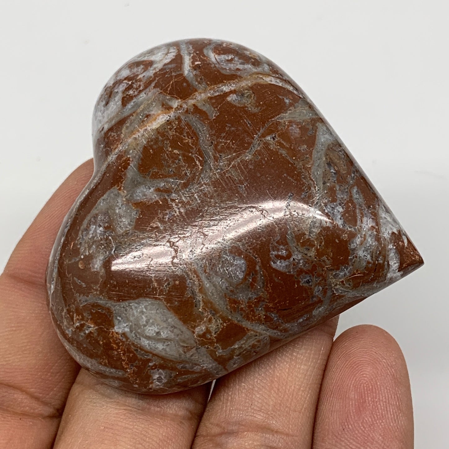 60.9g, 2" x 2.1"x 0.7", Natural Untreated Red Shell Fossils Half Heart @Morocco,