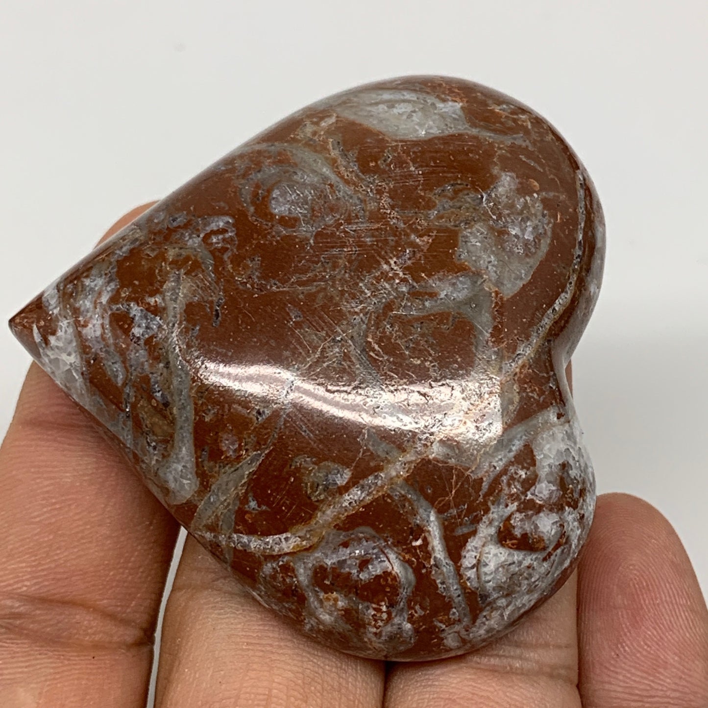 60.9g, 2" x 2.1"x 0.7", Natural Untreated Red Shell Fossils Half Heart @Morocco,