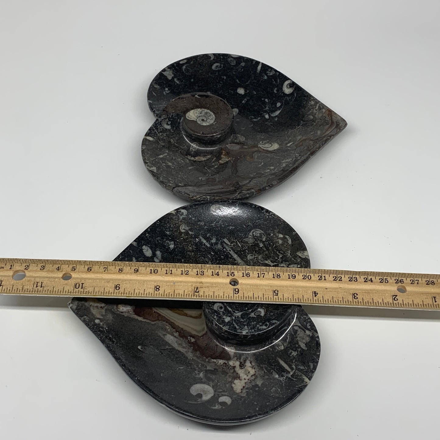 2pcs Set, 6.25"x6.25" Heart Fossils Orthoceras Ammonite Bowls @Morocco, B8477