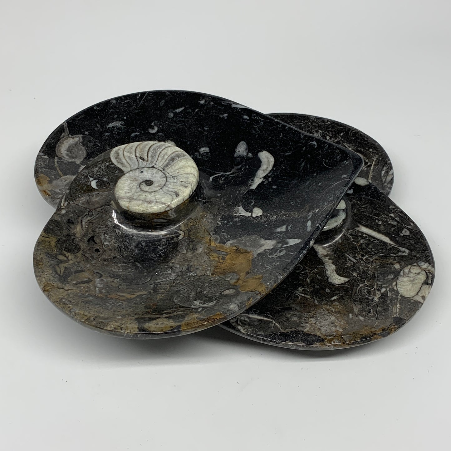 2pcs Set, 6.25"x6.25" Heart Fossils Orthoceras Ammonite Bowls @Morocco, B8478