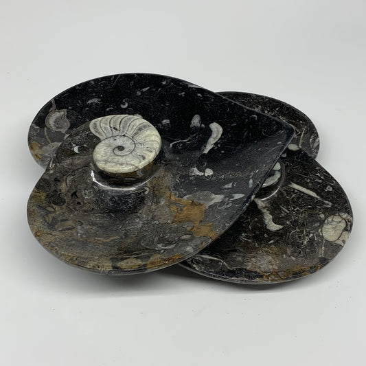 2pcs Set, 6.25"x6.25" Heart Fossils Orthoceras Ammonite Bowls @Morocco, B8478