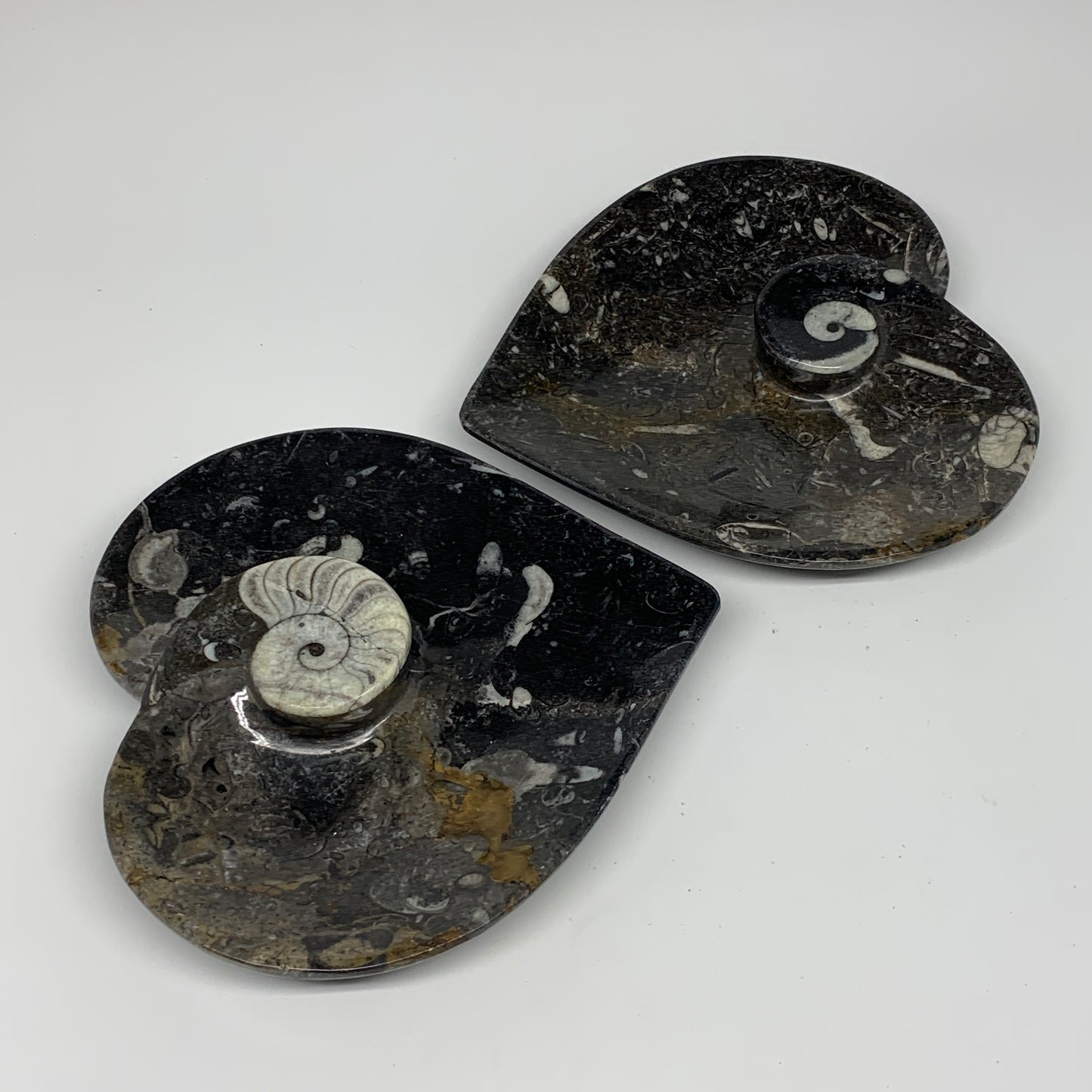2pcs Set, 6.25"x6.25" Heart Fossils Orthoceras Ammonite Bowls @Morocco, B8478