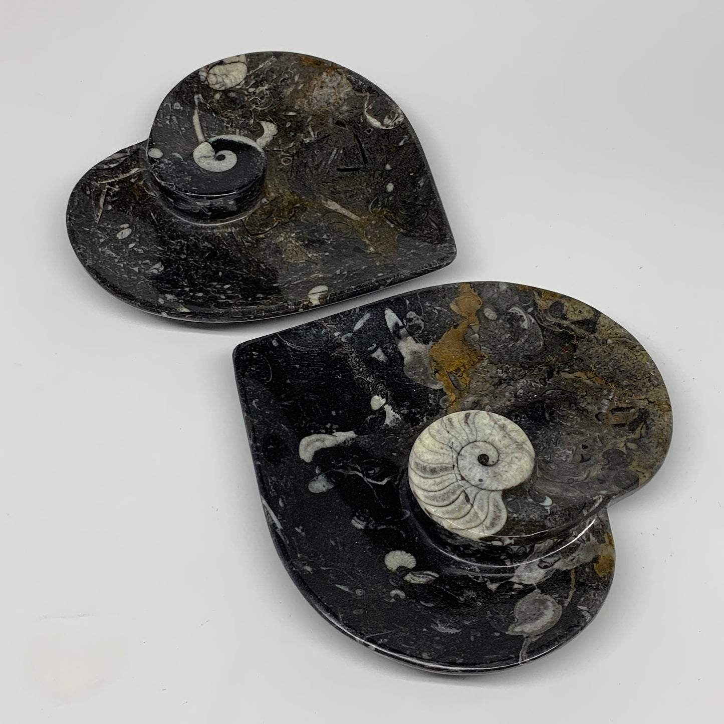 2pcs Set, 6.25"x6.25" Heart Fossils Orthoceras Ammonite Bowls @Morocco, B8478