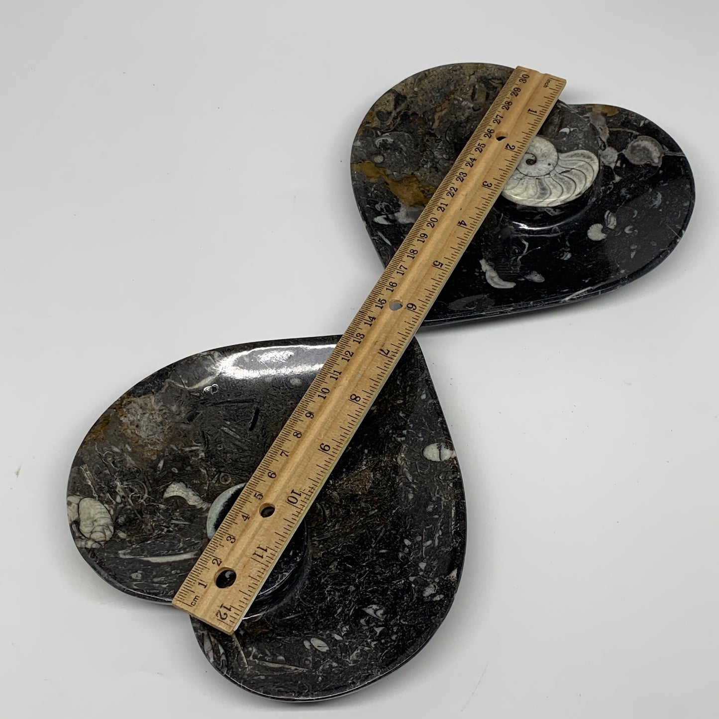 2pcs Set, 6.25"x6.25" Heart Fossils Orthoceras Ammonite Bowls @Morocco, B8478