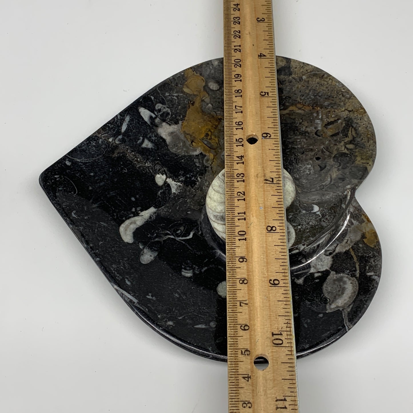 2pcs Set, 6.25"x6.25" Heart Fossils Orthoceras Ammonite Bowls @Morocco, B8478