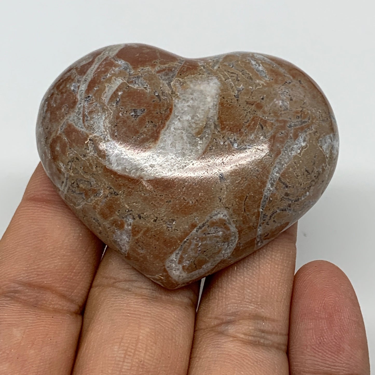 57.2g, 1.8" x 2.2"x 0.6", Natural Untreated Red Shell Fossils Half Heart @Morocc