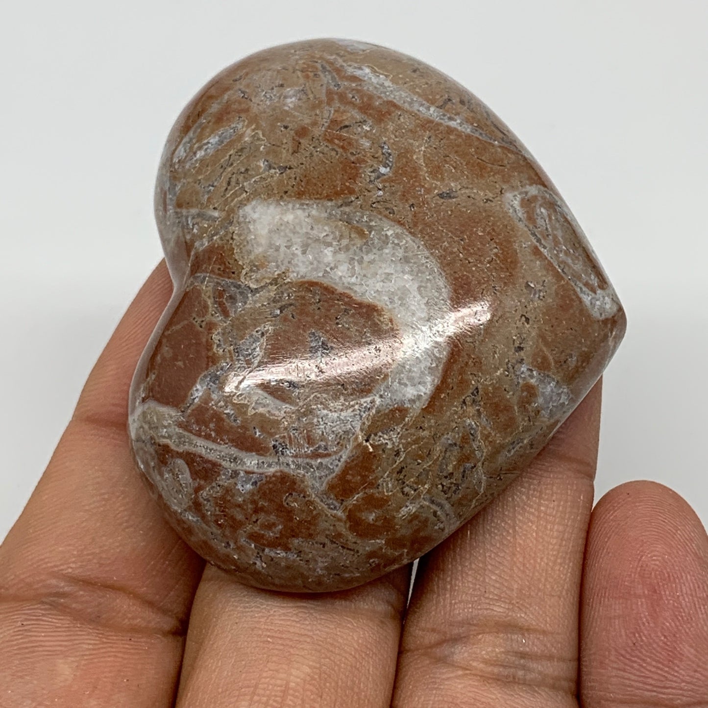 57.2g, 1.8" x 2.2"x 0.6", Natural Untreated Red Shell Fossils Half Heart @Morocc