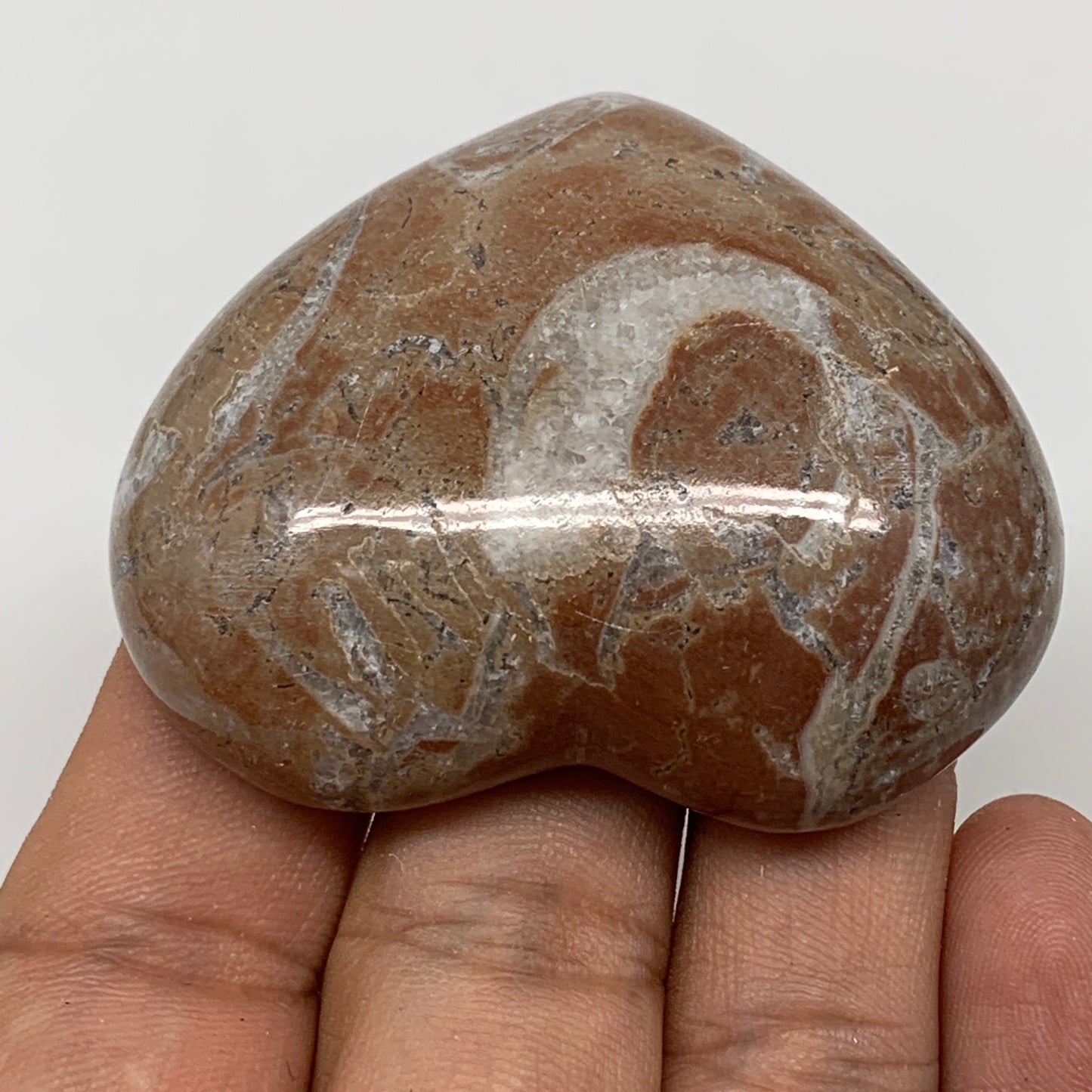 57.2g, 1.8" x 2.2"x 0.6", Natural Untreated Red Shell Fossils Half Heart @Morocc