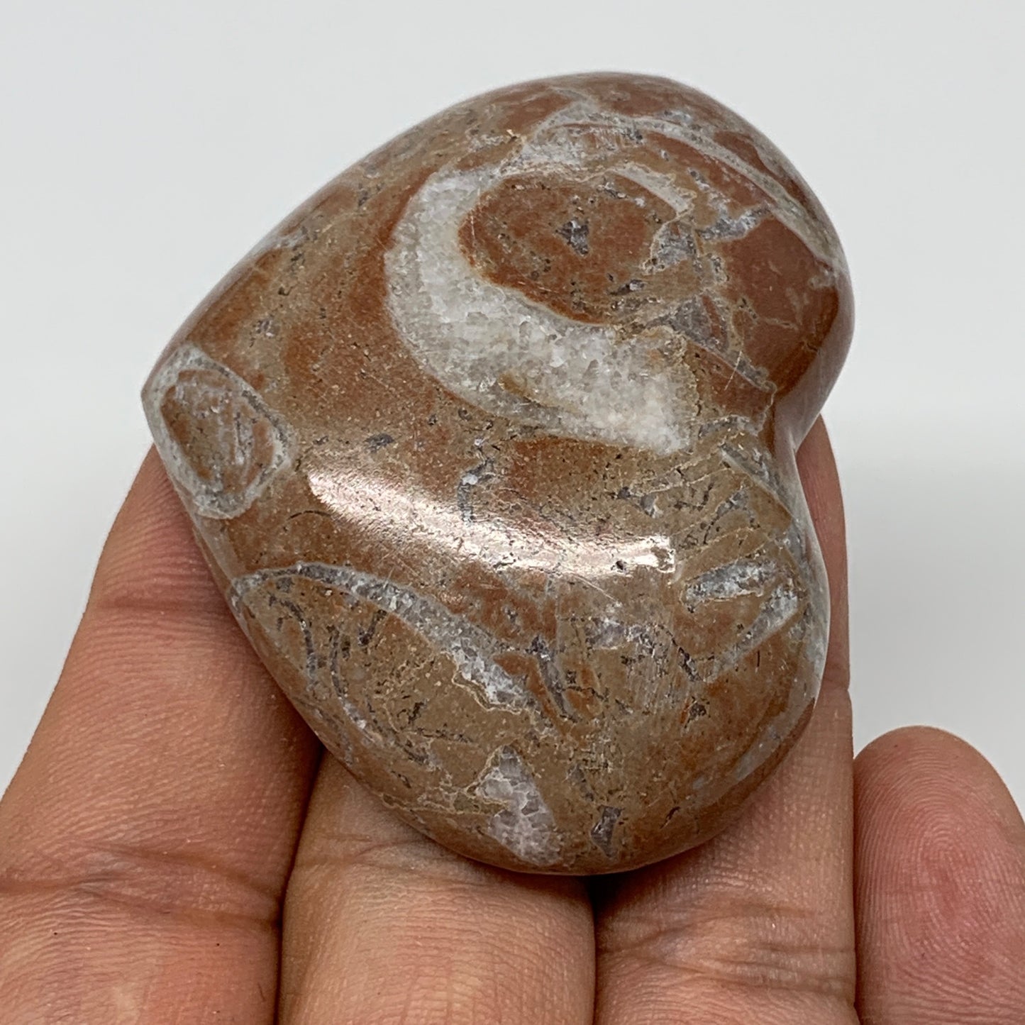 57.2g, 1.8" x 2.2"x 0.6", Natural Untreated Red Shell Fossils Half Heart @Morocc