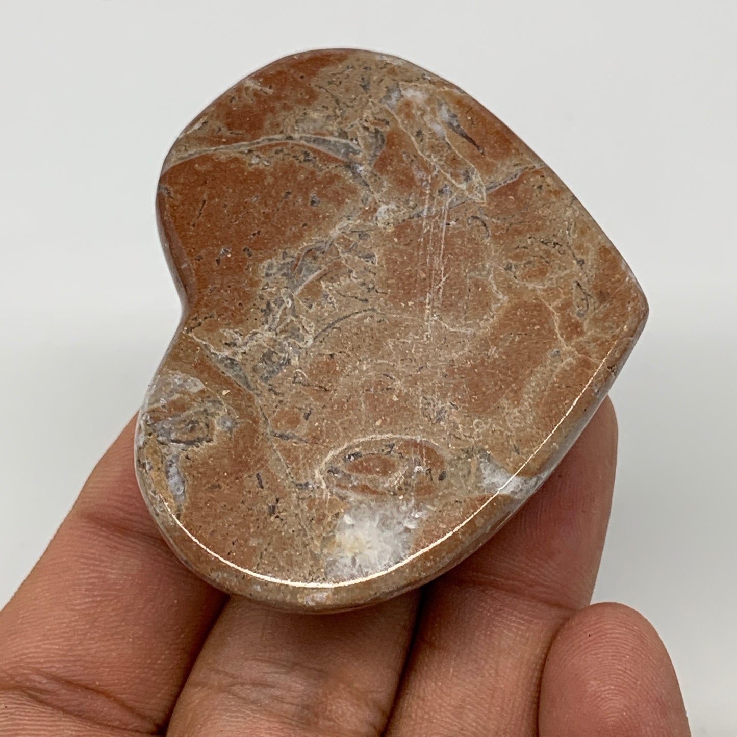 57.2g, 1.8" x 2.2"x 0.6", Natural Untreated Red Shell Fossils Half Heart @Morocc