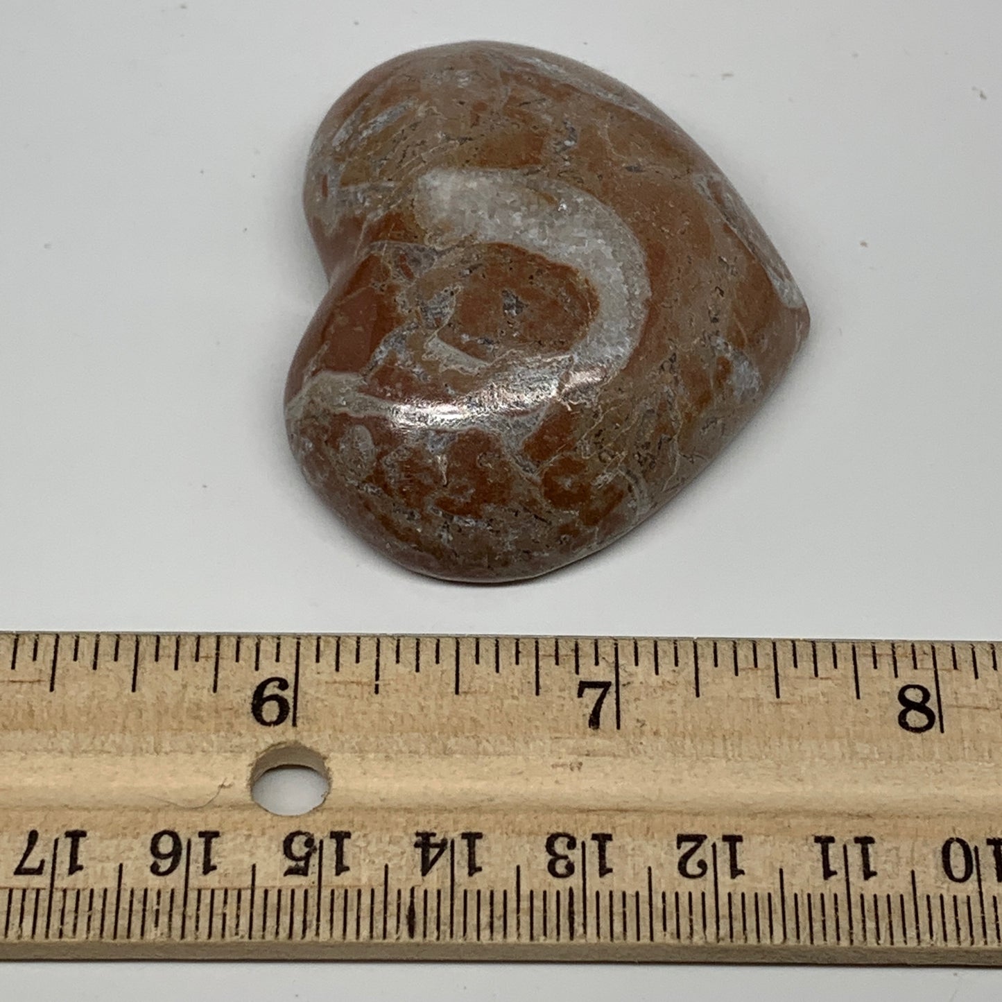 57.2g, 1.8" x 2.2"x 0.6", Natural Untreated Red Shell Fossils Half Heart @Morocc