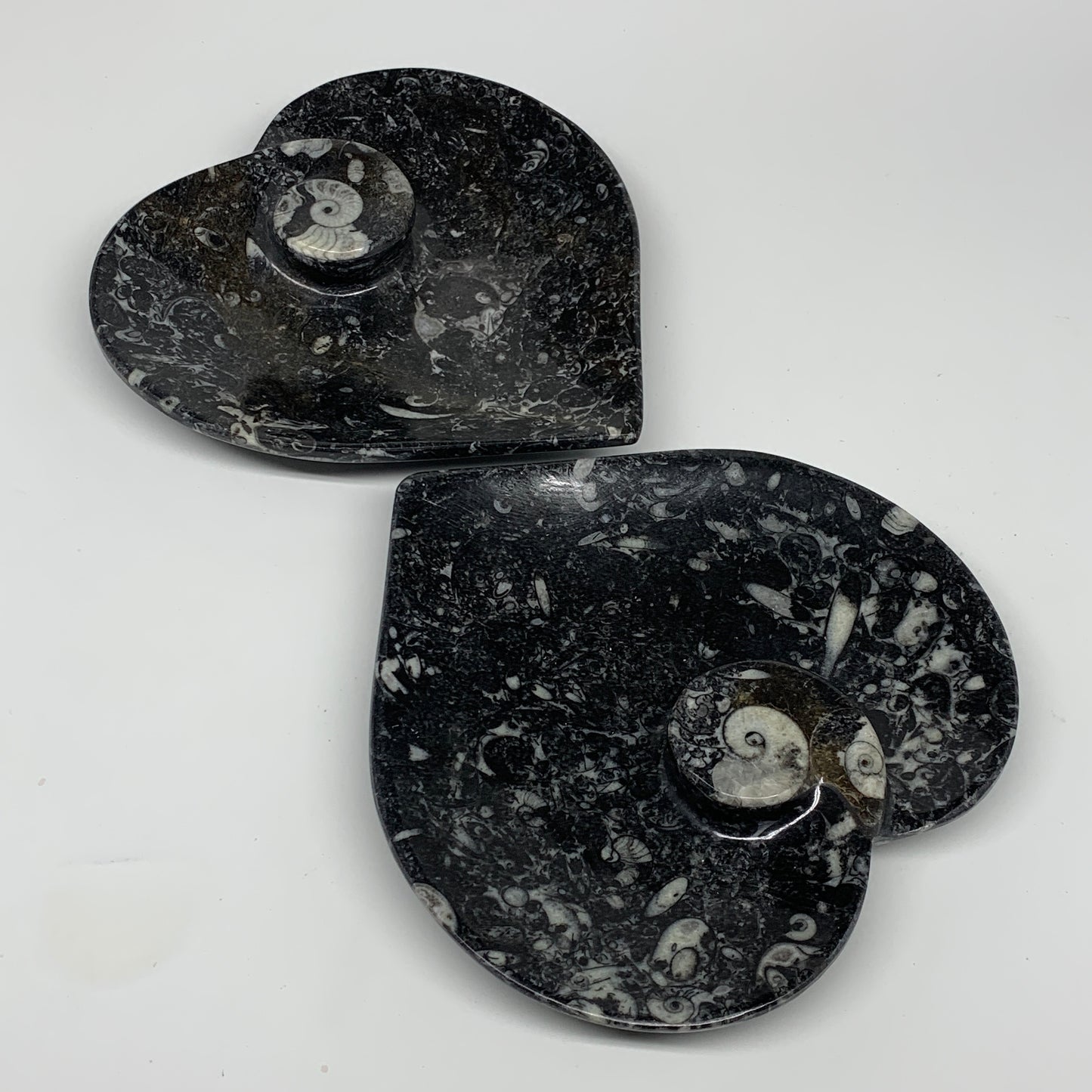 2pcs Set, 6.25"x6.25" Heart Fossils Orthoceras Ammonite Bowls @Morocco, B8480