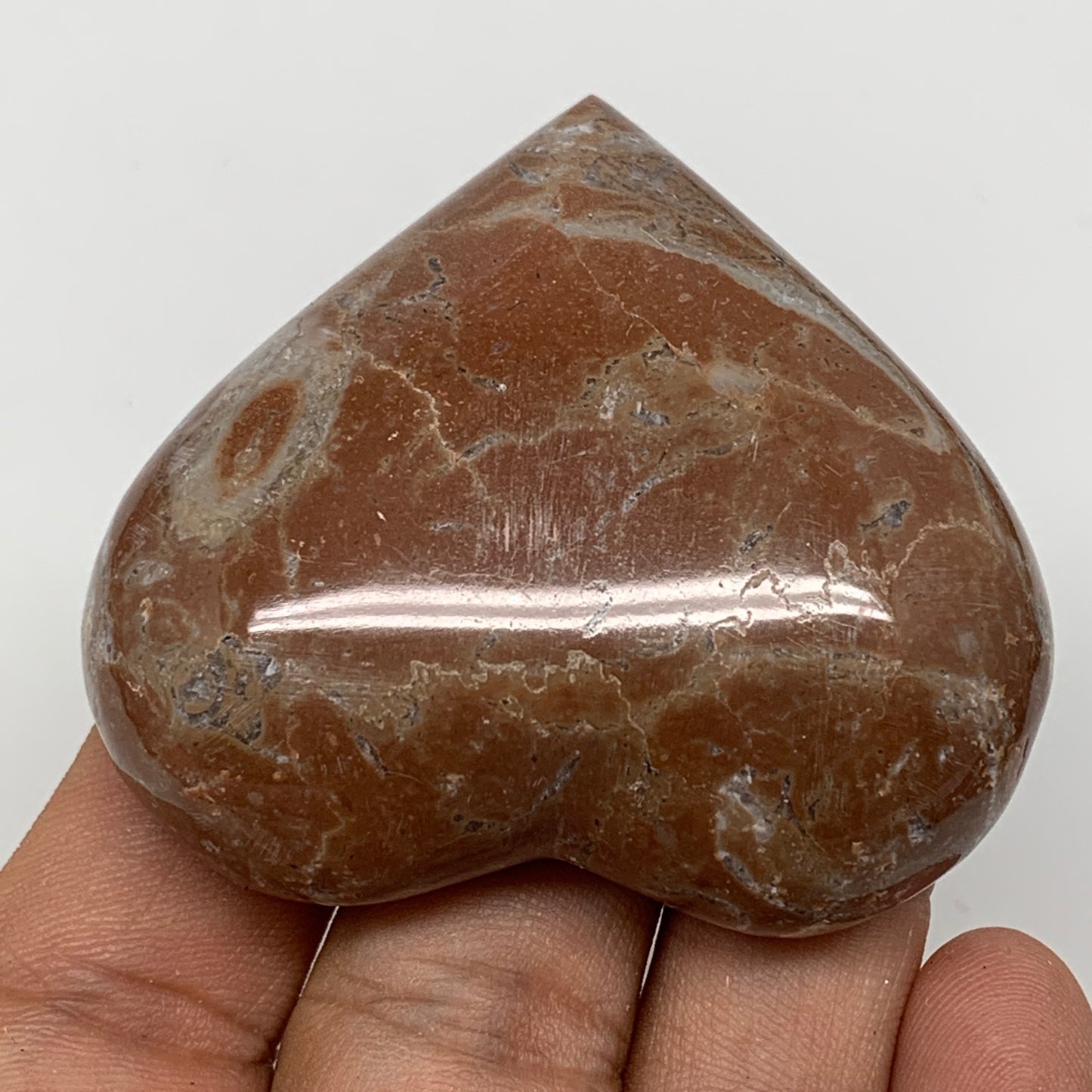 62.1g, 2" x 2.2"x 0.6", Natural Untreated Red Shell Fossils Half Heart @Morocco,