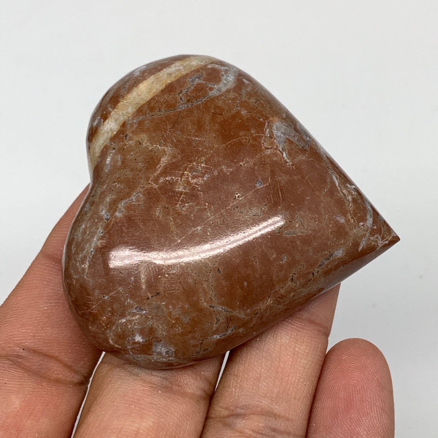 63.5g, 2.1" x 2.1"x 0.6", Natural Untreated Red Shell Fossils Half Heart @Morocc