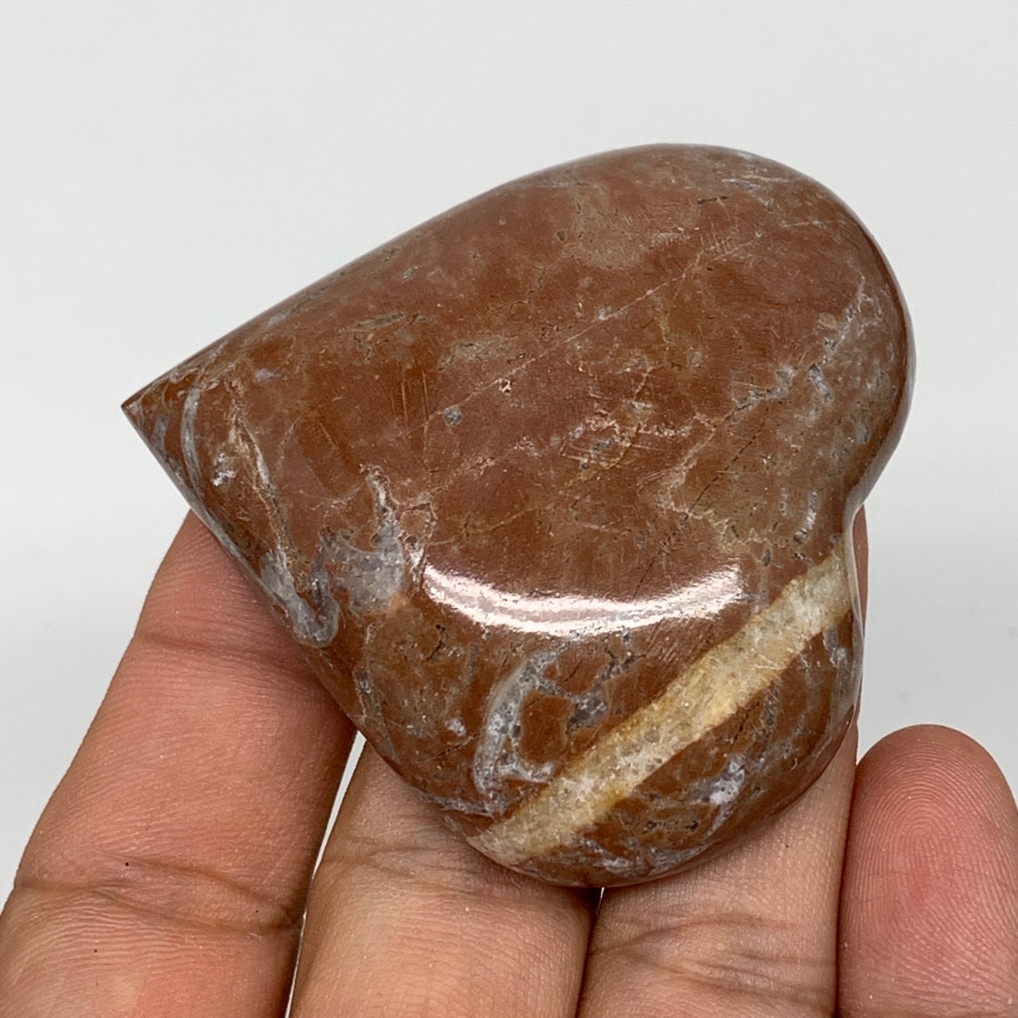 63.5g, 2.1" x 2.1"x 0.6", Natural Untreated Red Shell Fossils Half Heart @Morocc