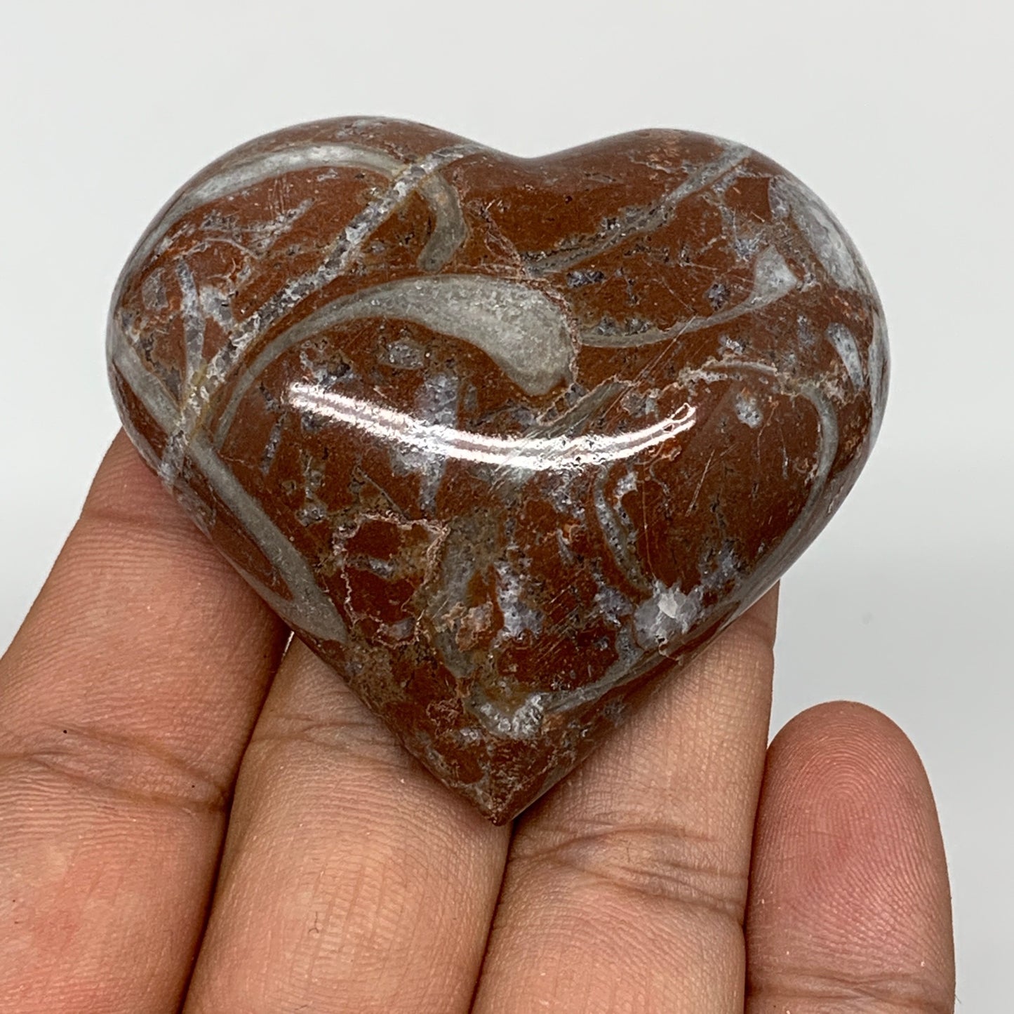 70.6g, 2" x 2.2"x 0.7", Natural Untreated Red Shell Fossils Half Heart @Morocco,
