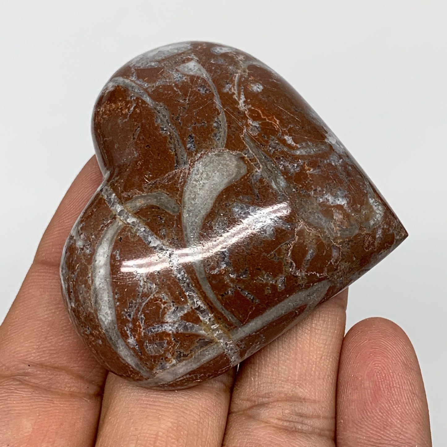70.6g, 2" x 2.2"x 0.7", Natural Untreated Red Shell Fossils Half Heart @Morocco,