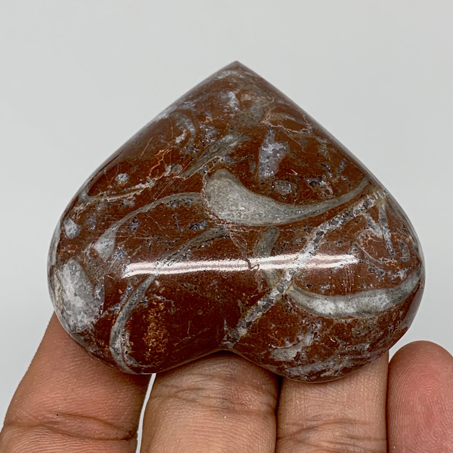 70.6g, 2" x 2.2"x 0.7", Natural Untreated Red Shell Fossils Half Heart @Morocco,