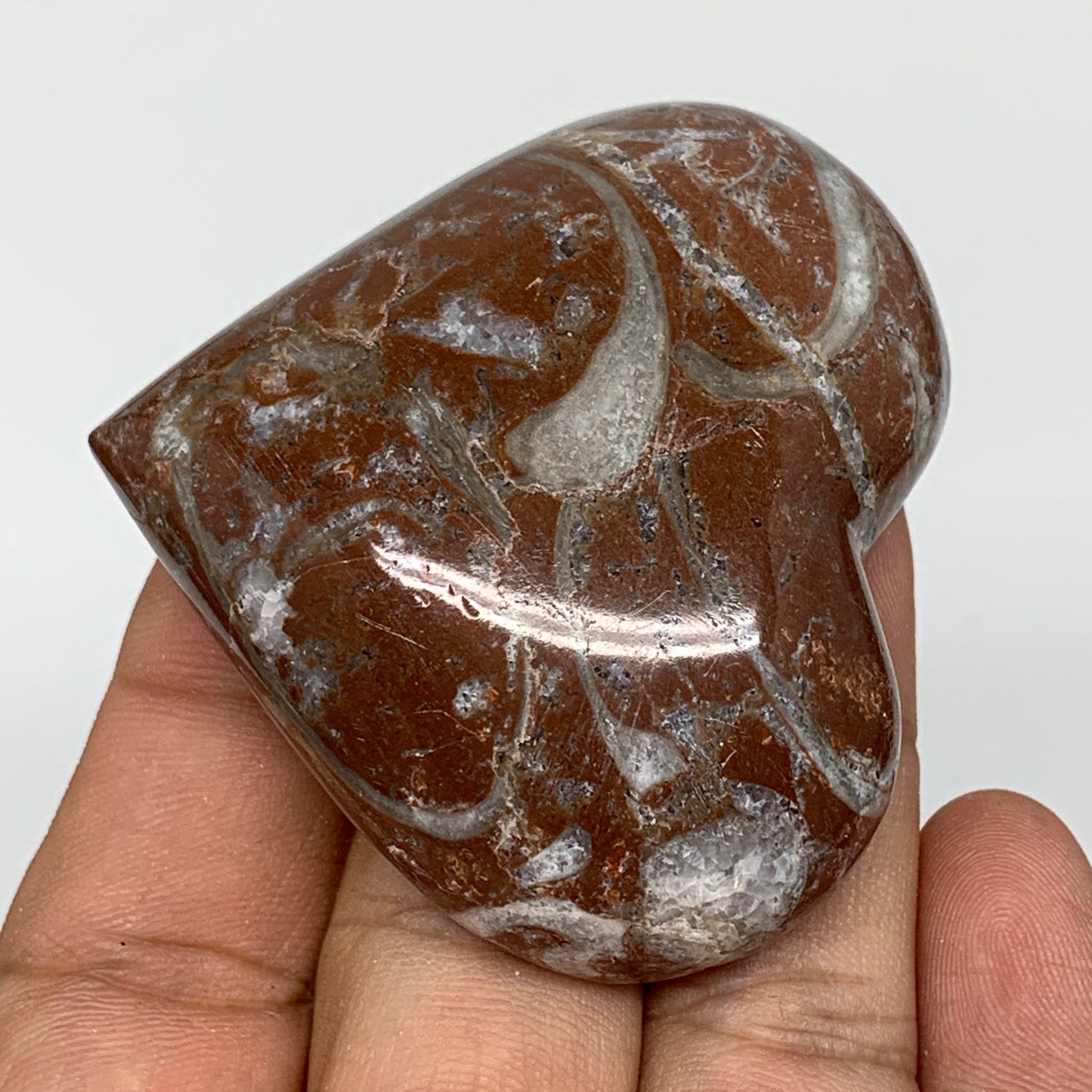 70.6g, 2" x 2.2"x 0.7", Natural Untreated Red Shell Fossils Half Heart @Morocco,