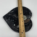 2pcs Set, 6.25"x6.25" Heart Fossils Orthoceras Ammonite Bowls @Morocco, B8481