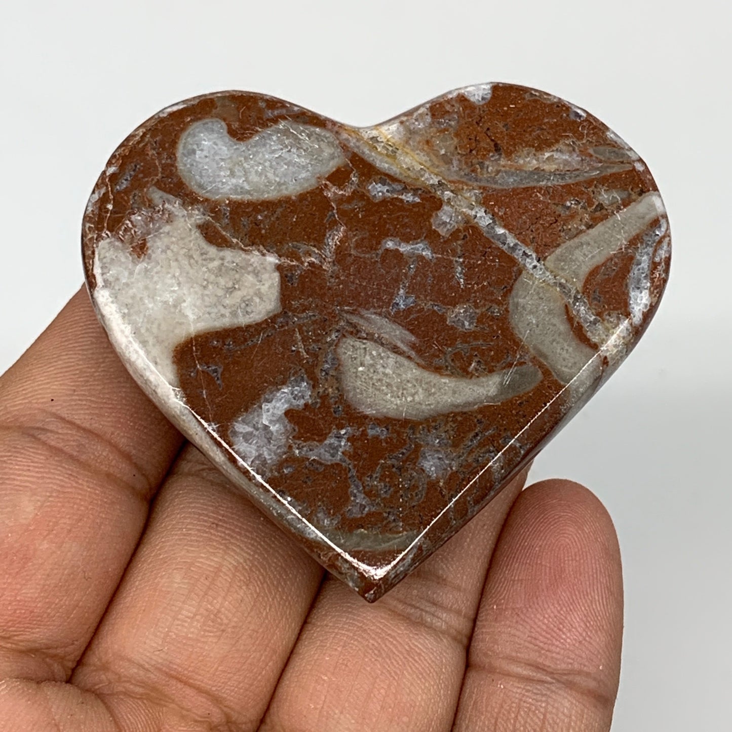 70.6g, 2" x 2.2"x 0.7", Natural Untreated Red Shell Fossils Half Heart @Morocco,