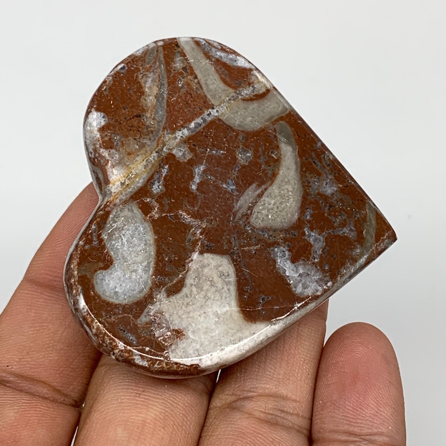 70.6g, 2" x 2.2"x 0.7", Natural Untreated Red Shell Fossils Half Heart @Morocco,