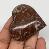53.4g, 2" x 2.1"x 0.6", Natural Untreated Red Shell Fossils Half Heart @Morocco,
