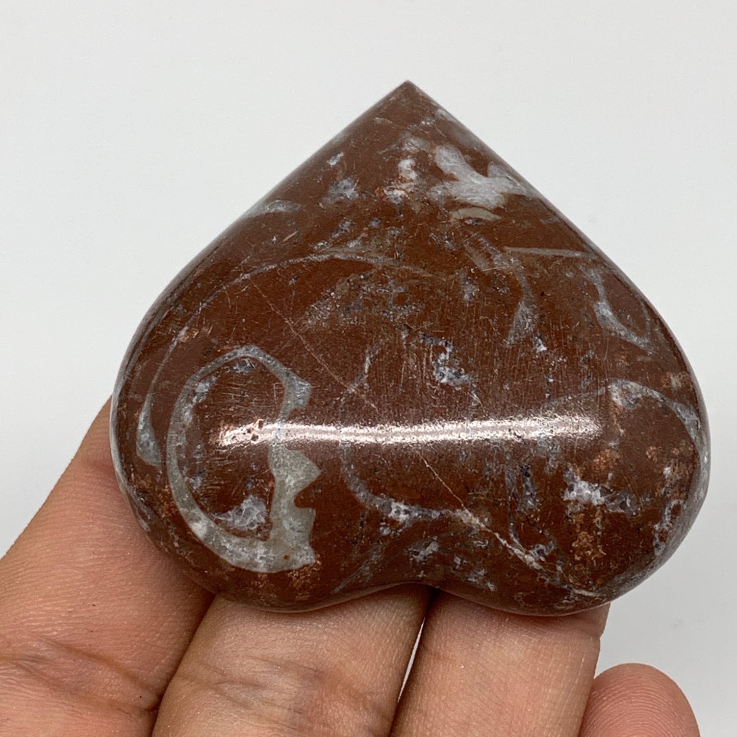 53.4g, 2" x 2.1"x 0.6", Natural Untreated Red Shell Fossils Half Heart @Morocco,