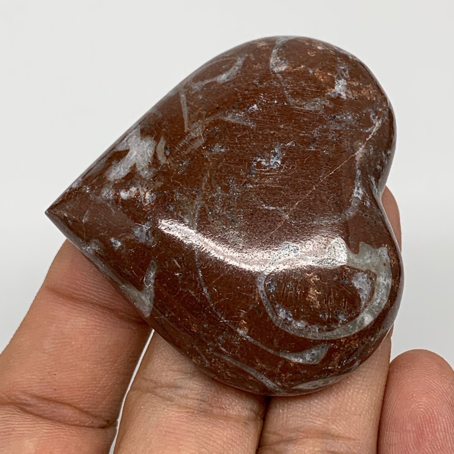 53.4g, 2" x 2.1"x 0.6", Natural Untreated Red Shell Fossils Half Heart @Morocco,