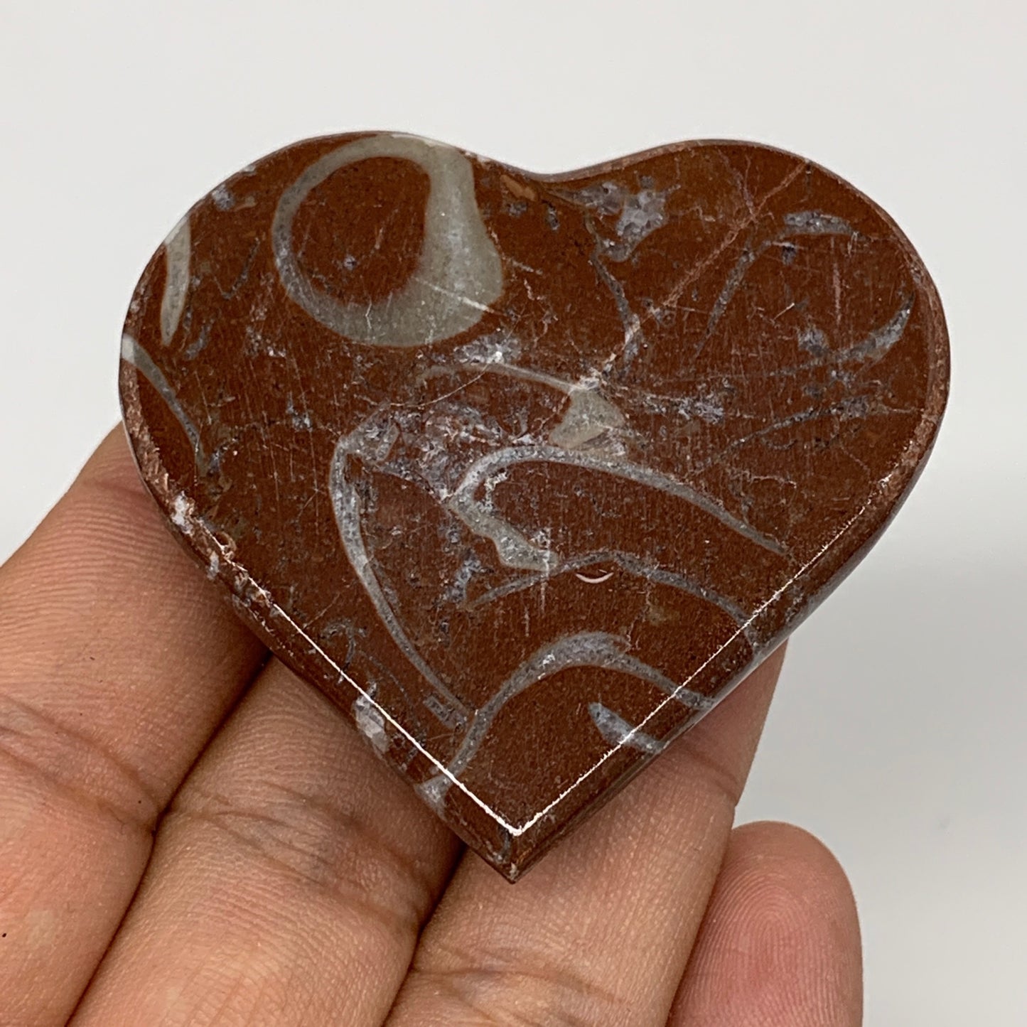 53.4g, 2" x 2.1"x 0.6", Natural Untreated Red Shell Fossils Half Heart @Morocco,