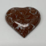53.4g, 2" x 2.1"x 0.6", Natural Untreated Red Shell Fossils Half Heart @Morocco,