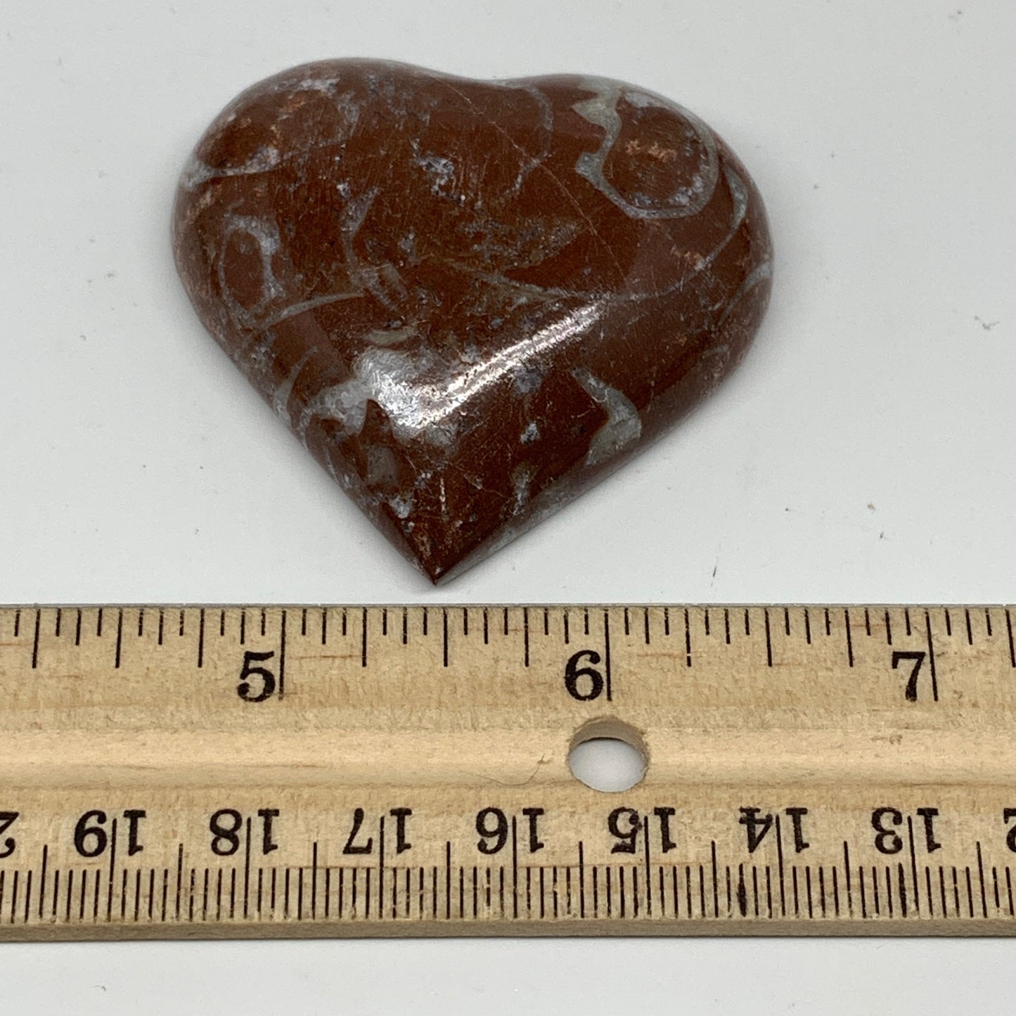 53.4g, 2" x 2.1"x 0.6", Natural Untreated Red Shell Fossils Half Heart @Morocco,