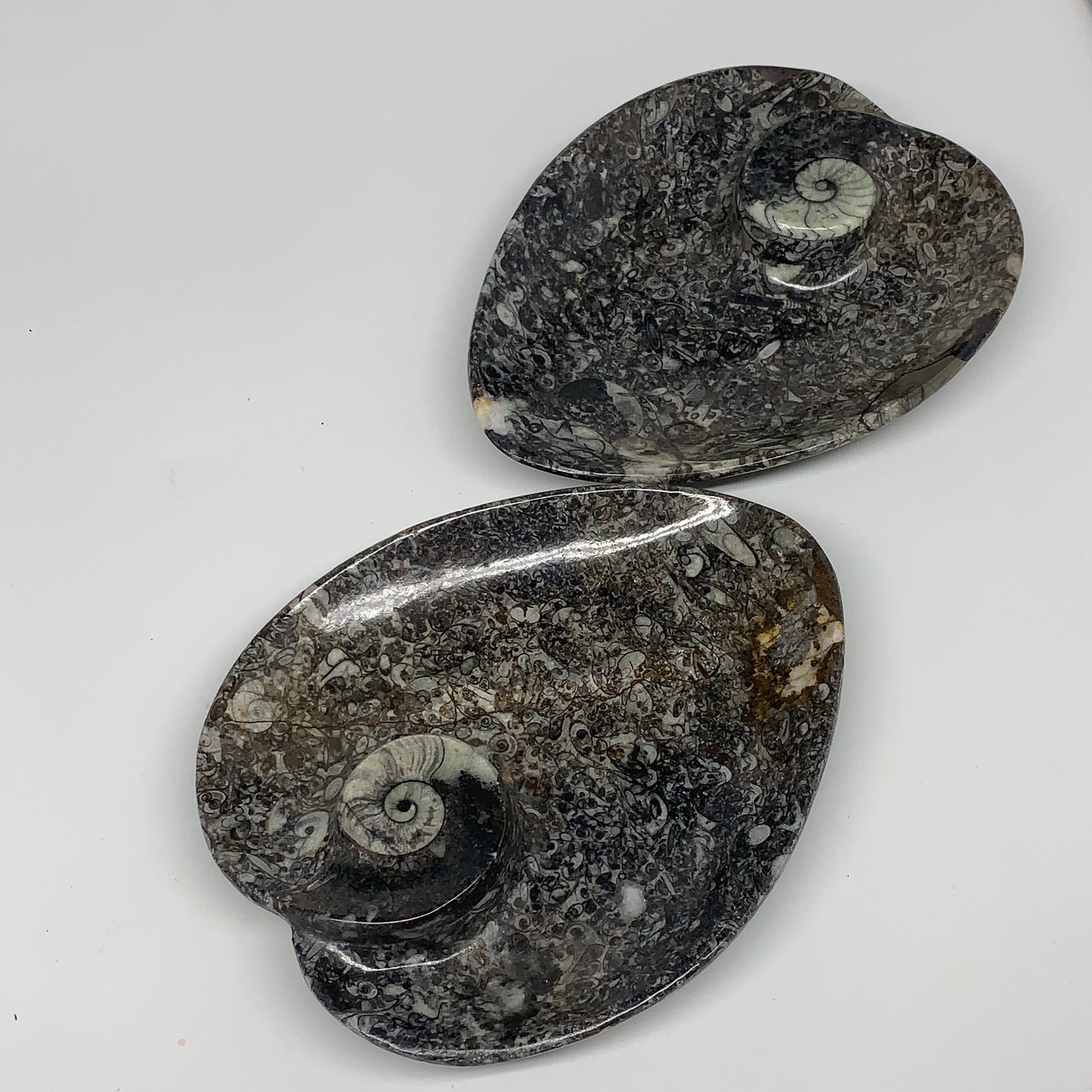 2pcs Set, 6.25"x5.25" Heart Fossils Orthoceras Ammonite Bowls @Morocco, B8485