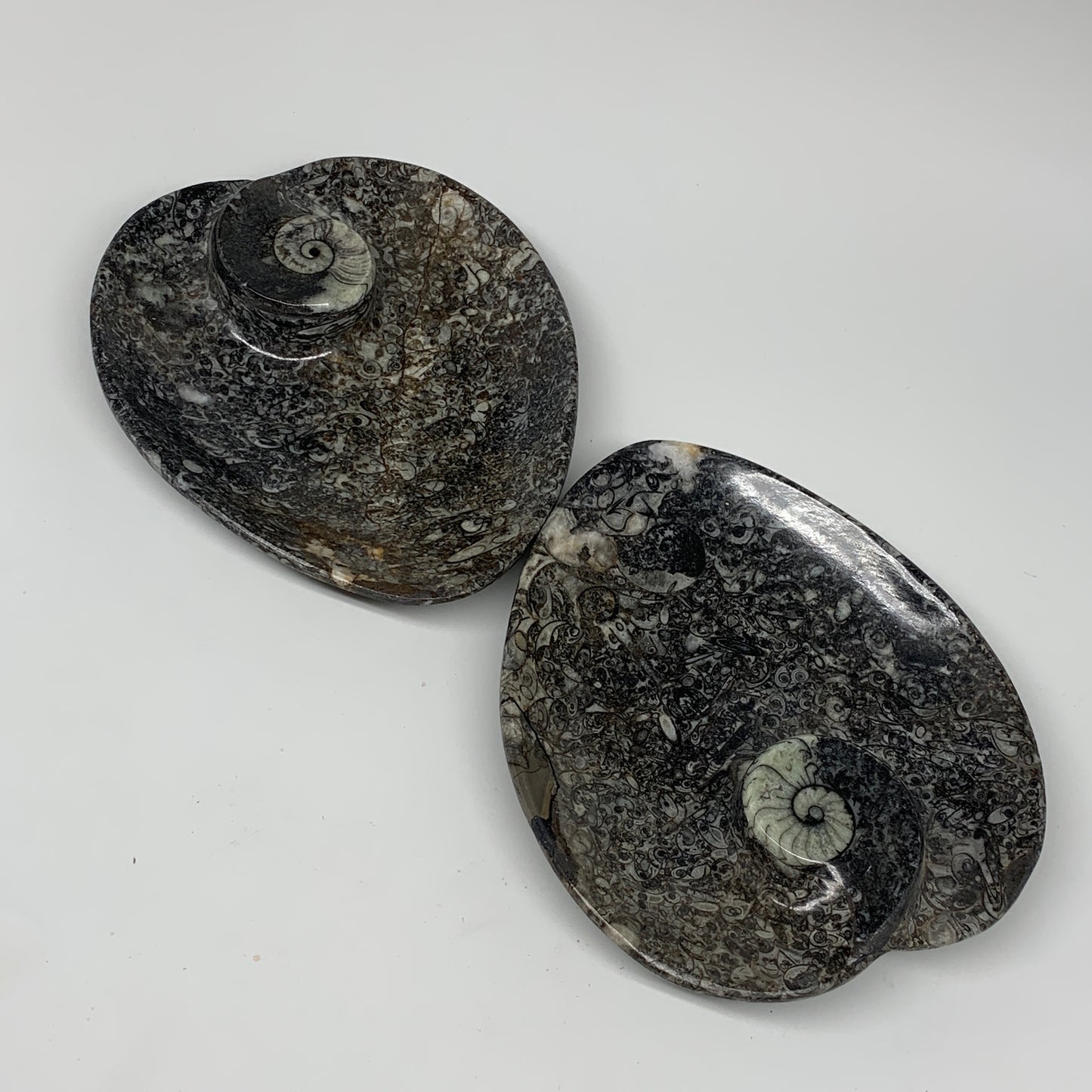 2pcs Set, 6.25"x5.25" Heart Fossils Orthoceras Ammonite Bowls @Morocco, B8485