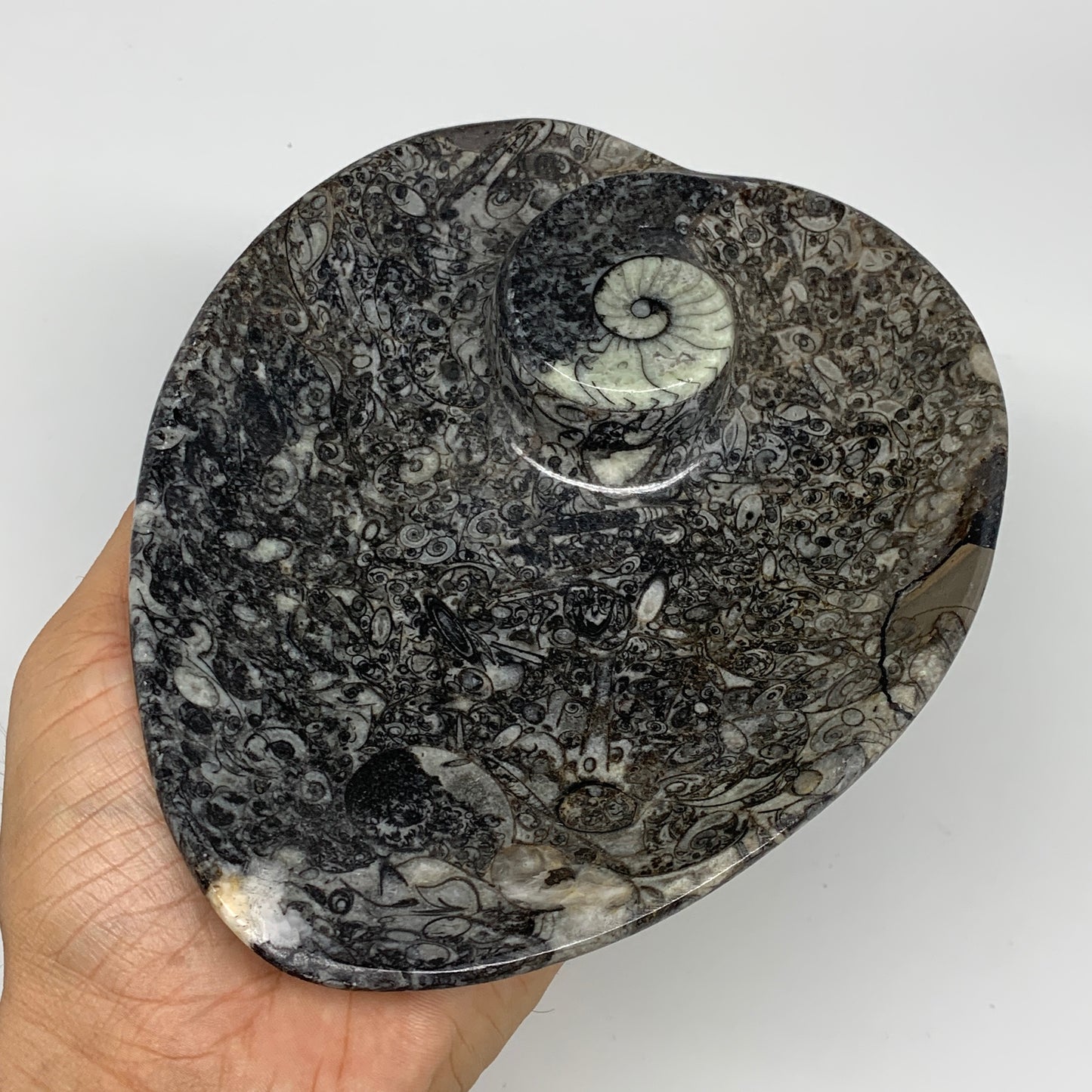 2pcs Set, 6.25"x5.25" Heart Fossils Orthoceras Ammonite Bowls @Morocco, B8485