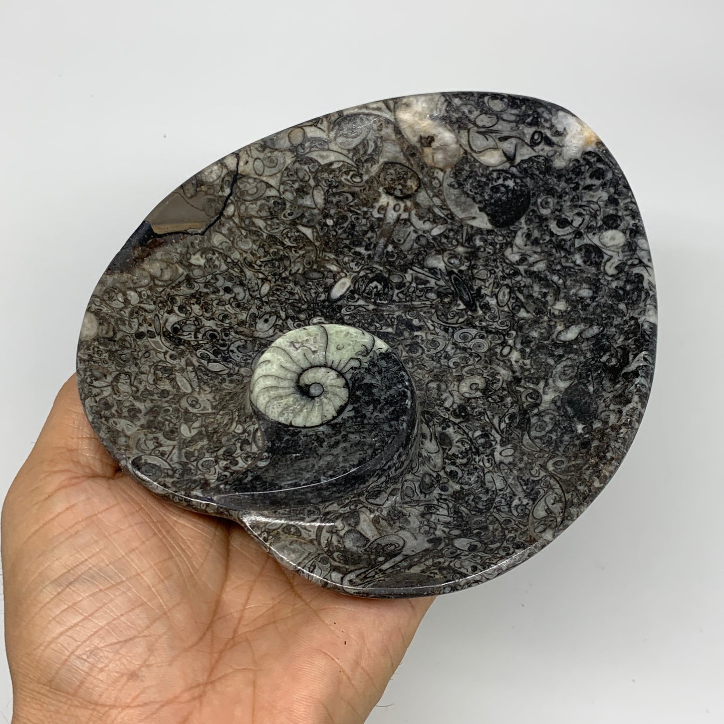 2pcs Set, 6.25"x5.25" Heart Fossils Orthoceras Ammonite Bowls @Morocco, B8485