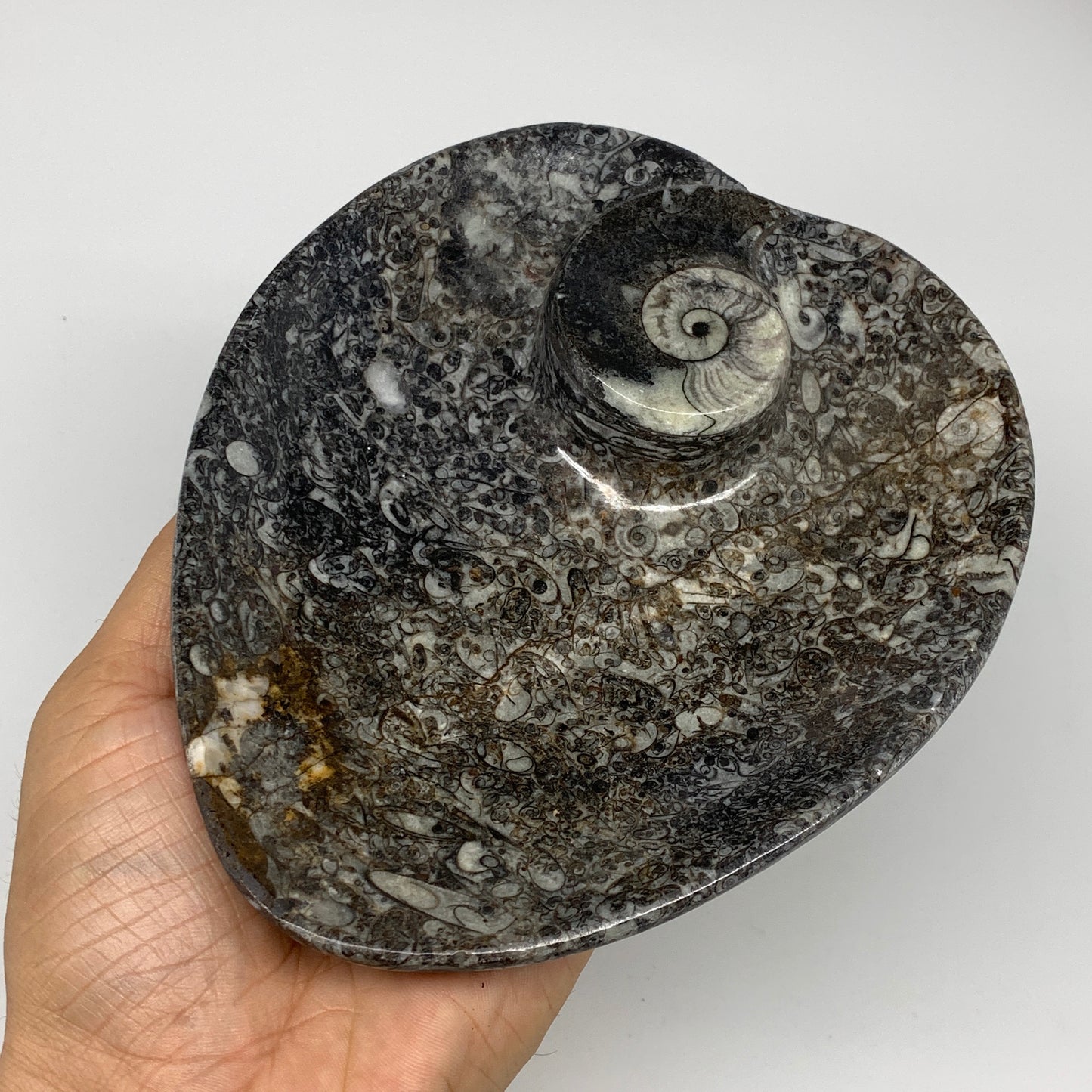 2pcs Set, 6.25"x5.25" Heart Fossils Orthoceras Ammonite Bowls @Morocco, B8485