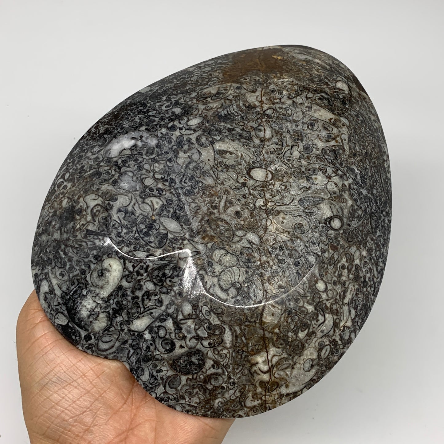 2pcs Set, 6.25"x5.25" Heart Fossils Orthoceras Ammonite Bowls @Morocco, B8485