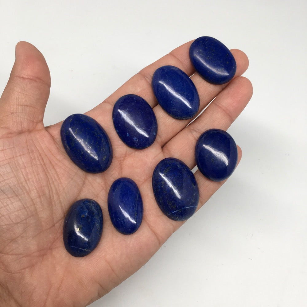 325cts, 8 pcs,Natural Oval Shape Lapis Lazuli Cabochons @Afghanistan,Lot118 - watangem.com