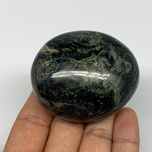 131g, 2.3"x2"x1.3", Crocodile Kambaba Jasper Palm-Stone @Madagascar, B15152